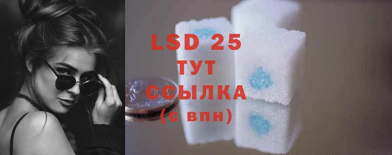 продажа наркотиков  Скопин  LSD-25 экстази ecstasy 